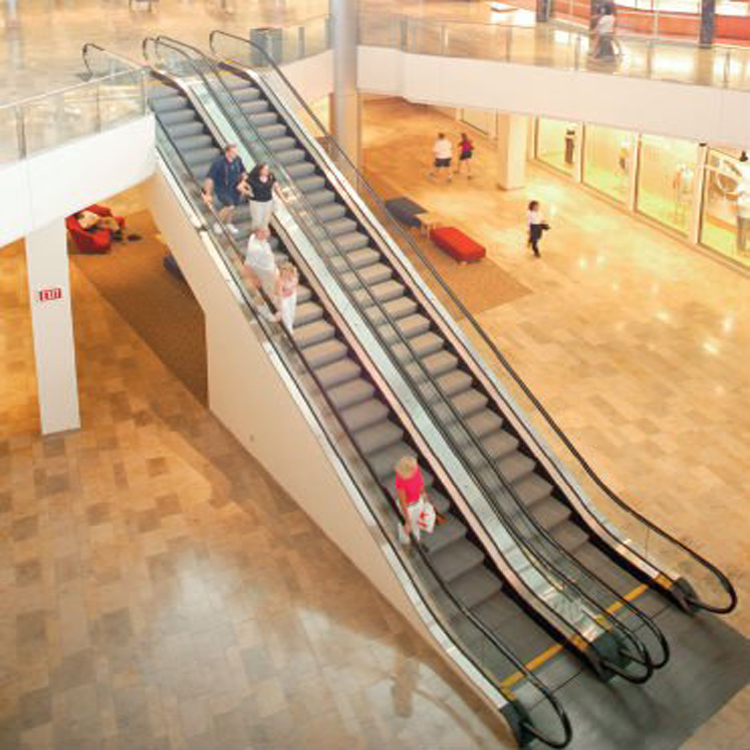 Residential Escalator Indoor and Outdoor with 800mm Width escalator