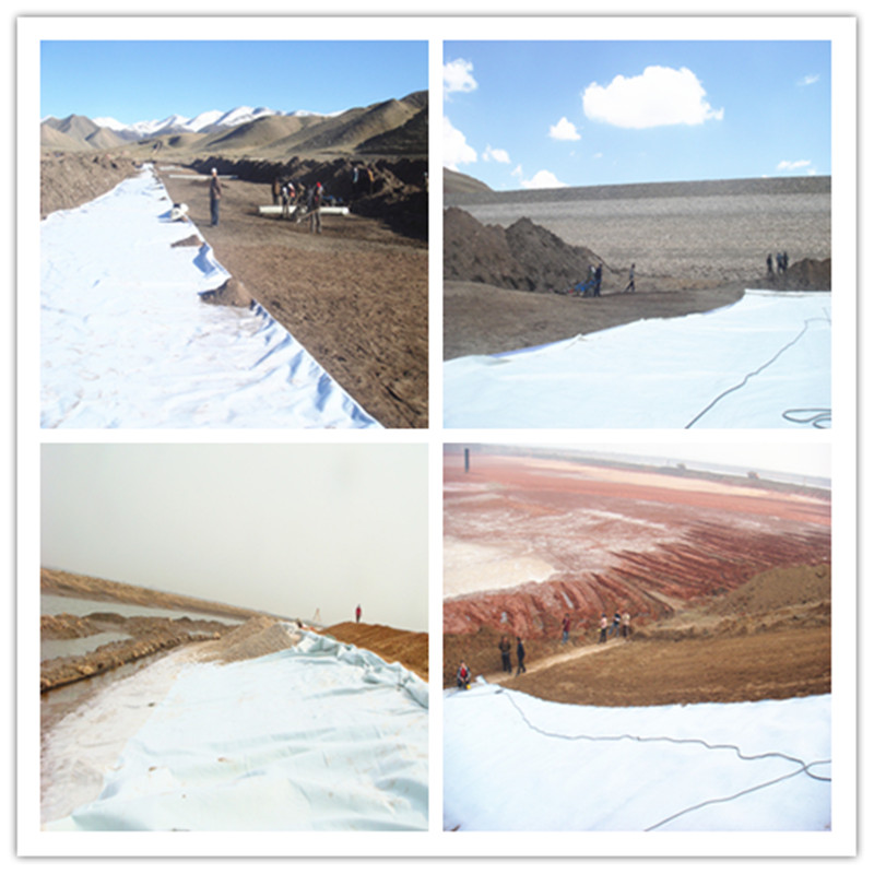 compound geomembran/composite geomembrane