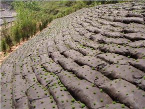 Ecological Geotextile sand bag for slope protection