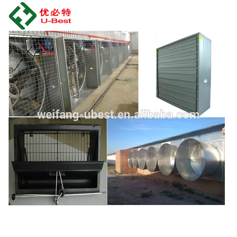 Philippines House Design Tunnel Ventilation Poultry Shed Automatic Farm Equipment Feeding/Drinking/Fan for Farming Chickens