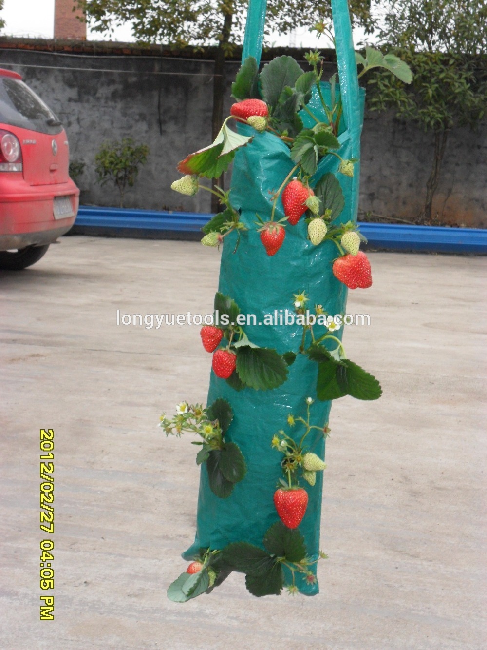 Wholesale PE plastic unique garden hanging plant bags