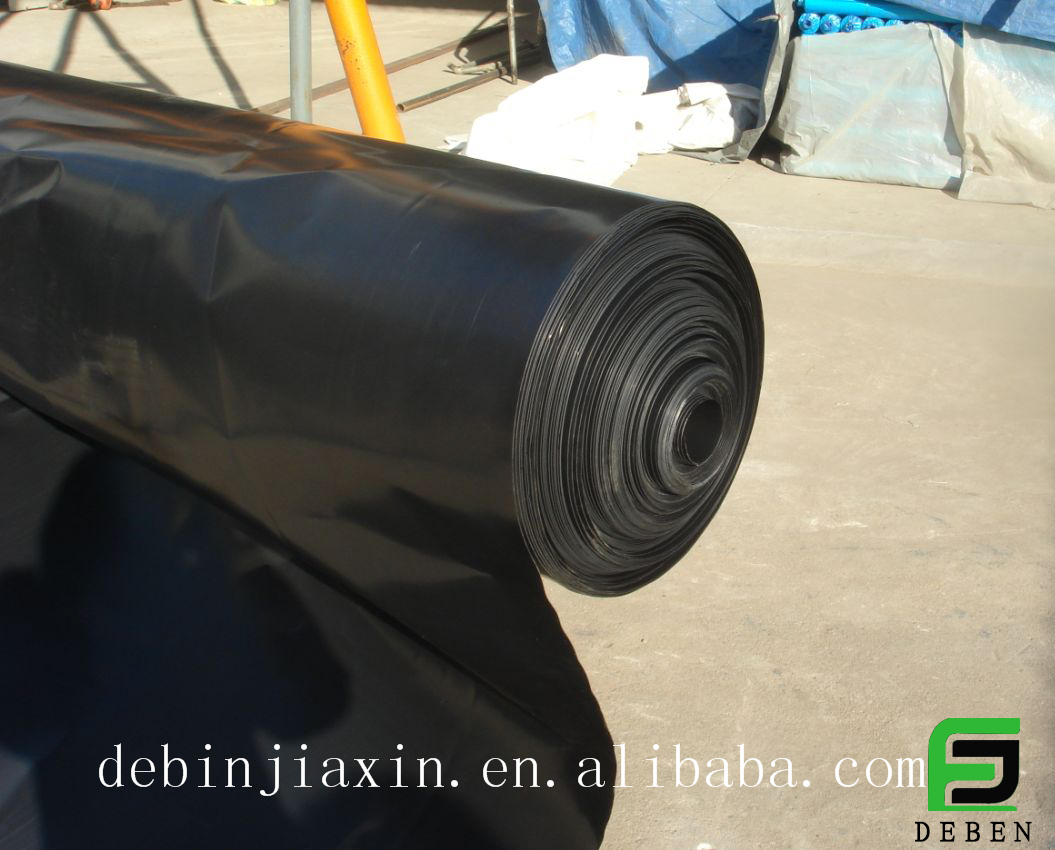 Top Quality Fish Shrimp Pond Liner HDPE Geomembrane Waterproof Dam Liner UV Pool Liner