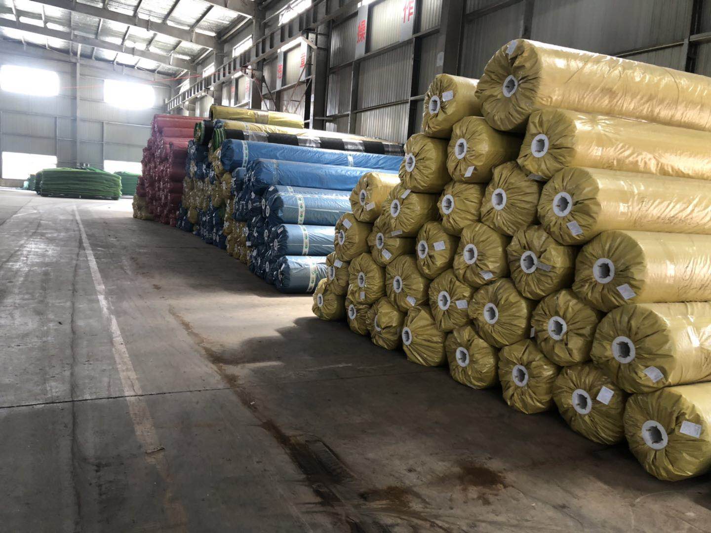 China factory well-recognized landscaping natural grass roll for soccer playground