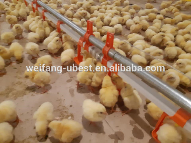 high quality broiler chicken machine chicken broiler farm house