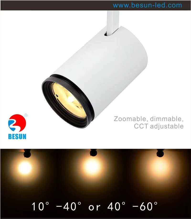 Mini elegant LED TRACK LIGHT with DIP switch to adjust color temperature