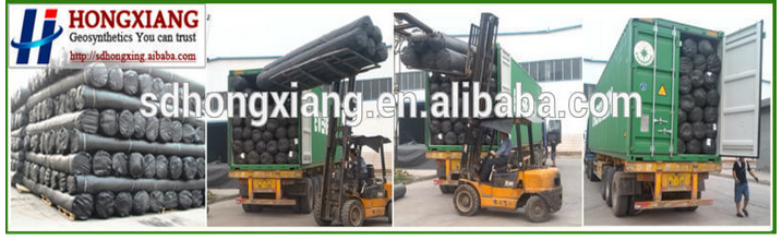 Plastic composite drainage geonet for landfill