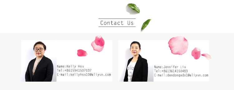 Chinese suppliers Natural Rose Preserved Flower  in glass