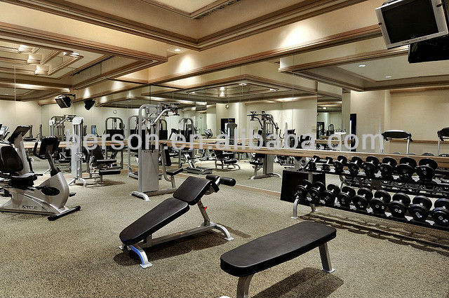 Commercial GYM Flooring Rich color wear well / Fitness Rubber Flooring