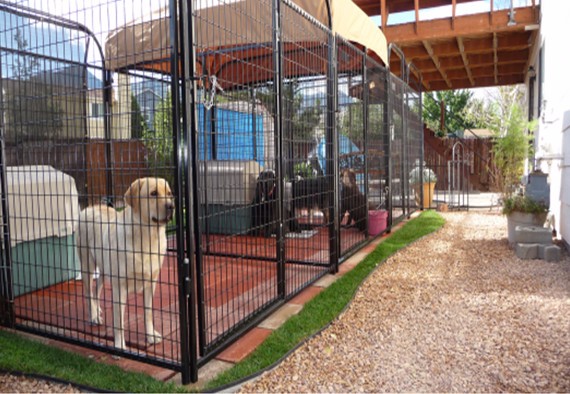 Eco-Friendly Portable and Foldable Breathable Metal Wire Dog Crates Cages Kennels