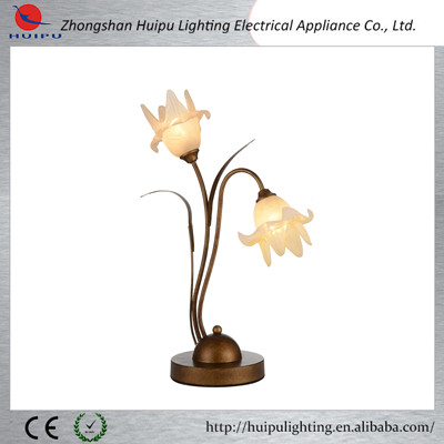 Modern simple elegant indoor light fixture of ceiling light