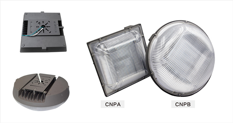 American standard 50w IP65 canopy light with 5 years warranty