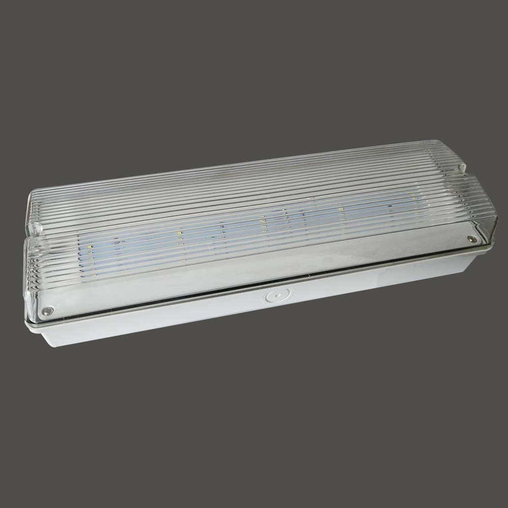 IP65 LED Rechargeable Elevator Emergency Light with CE Certificate