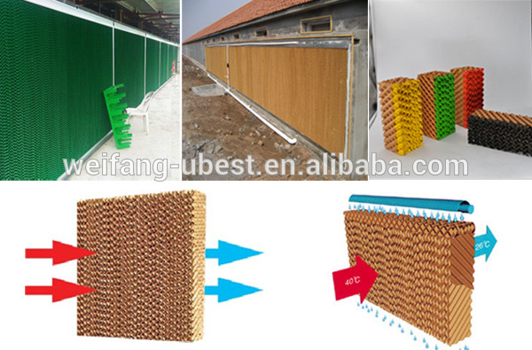 poultry farm equipment price broiler farms in argentina