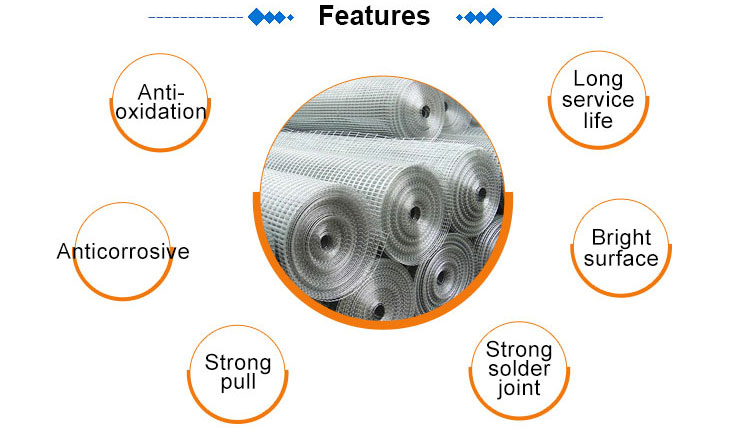 Anti-oxidation galvanized/PVC coated stainless steel welded wire mesh roll