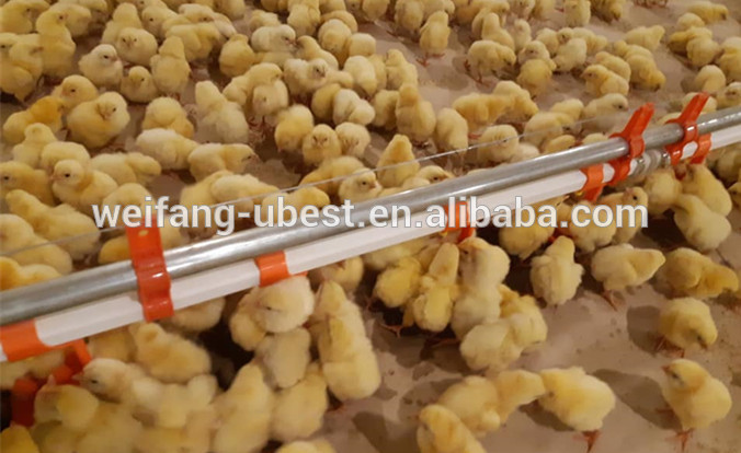 automatic poultry drinkers for chicken