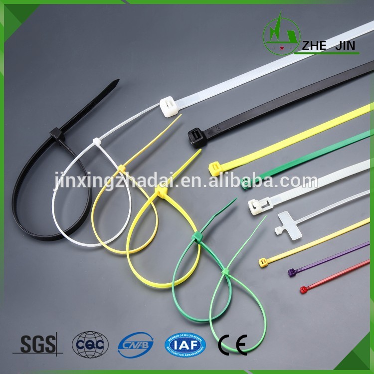 Zhe Jin Wenzhou Yueqing High Quality Nylon Self-Locking Beaded Cable Tie