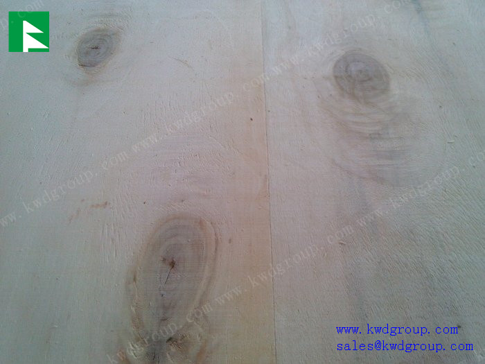 poplar plywood sheet / cheap plywood / birch plywood