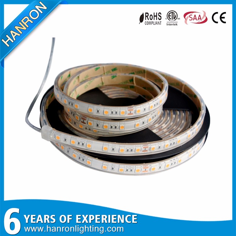 Hot sale factory wholesale CE / RoHs waterproof DC12v/ 24v led flexible strip light 5050,christmas led strip light outdoor use