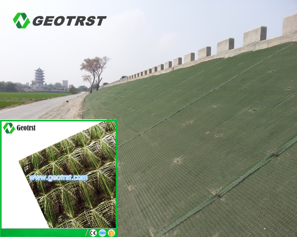 3D Tri-Dimension Plastic Geomat geotextile fabric