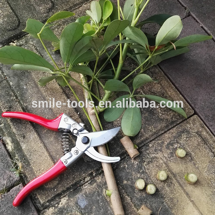 Hand Pruner Clippers Garden Scissors Garden Clippers Tree Cutter Trimmer Secateurs SK-5 Steel Blade with PTFE Coating and Safety