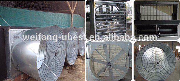 china broiler poultry farm design