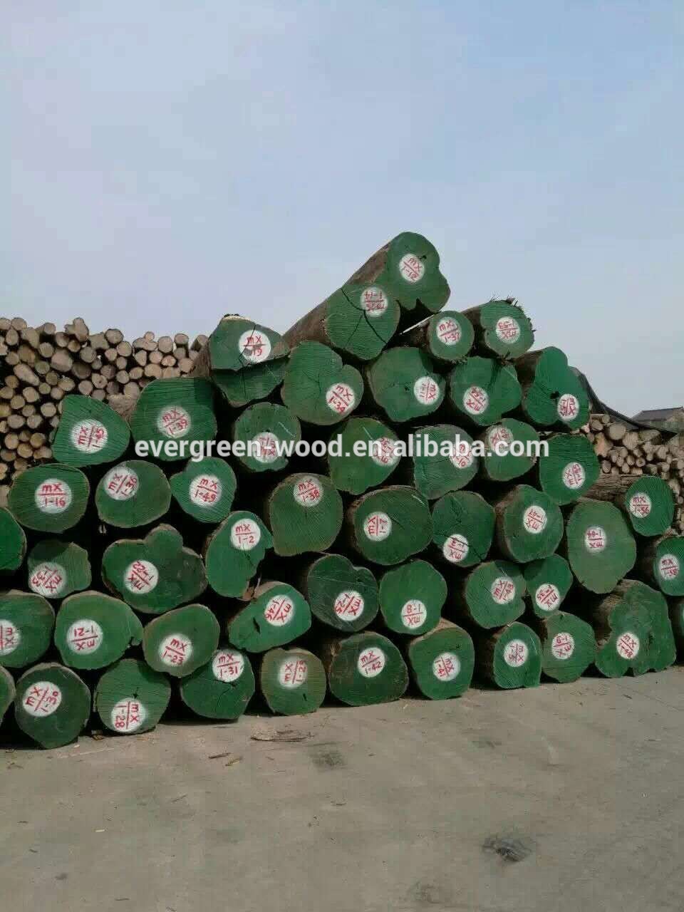 Burma teak round log natural teak whole sale