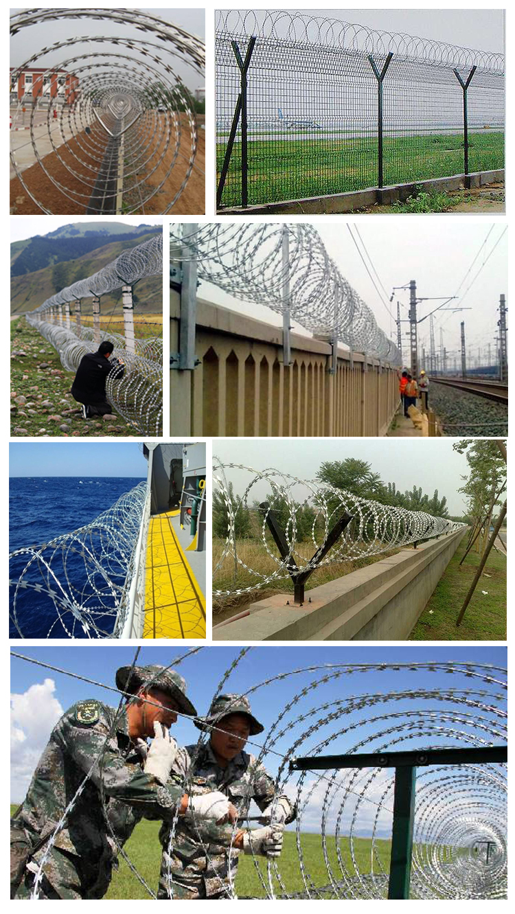 High quality cheap price custom size and design airport fence PVC razor barbed wire