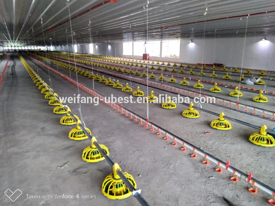 auger feed system for poultry, pan feeding system, poultry automatic feeding system