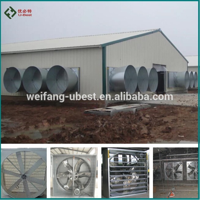 Automatic poultry farm chicken broiler feeding system