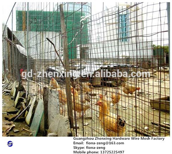 Electro Galvanized Welded Wire Mesh, cheap chicken wire coops guangzhou factory