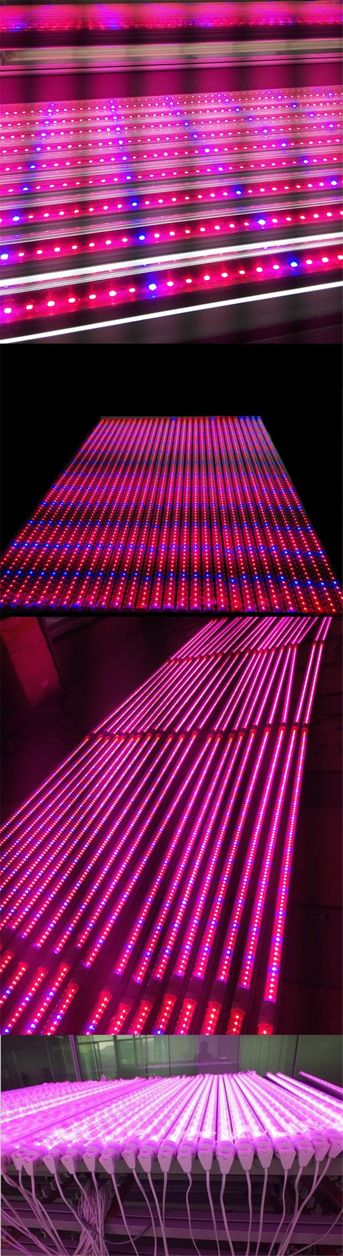 Wholesale top quality Red Blue ratio 3:1 5:1 6:1 7:1 9:1 96pcs 2835SMD 1.2m 120cm 4ft 18W T8 LED grow light tube