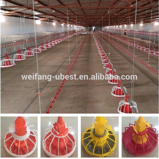 Poultry farm equipment for chicken house