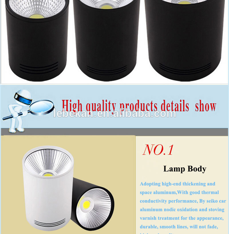 Factory price Professional design 5W 7W 10W 15W 20W 30w 6000k led cob down light