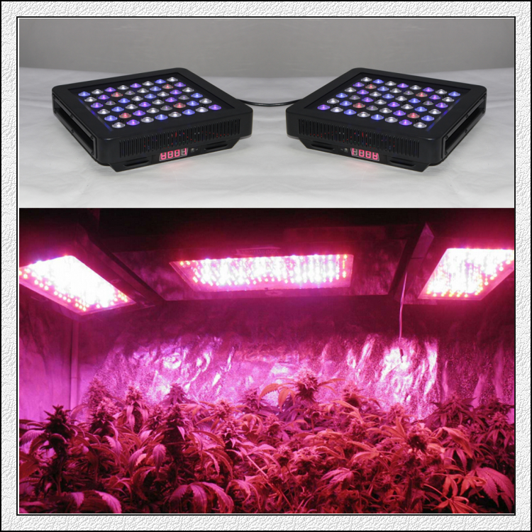 Waterproof led grow light -drop+ multichoice Lens, multi-chip 55w LED growing lamp