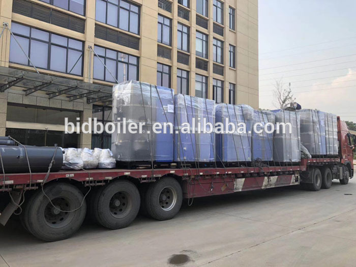 Biomass wood pellet water boiler for domestic heating