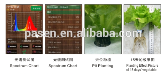 barley grass growing machine / wheat hydroponic grass seeds sprouting unit / hydroponics production system price