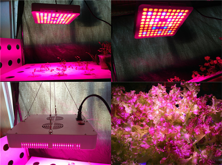 SMD3030 chip Full spectrum 300w LED grow light