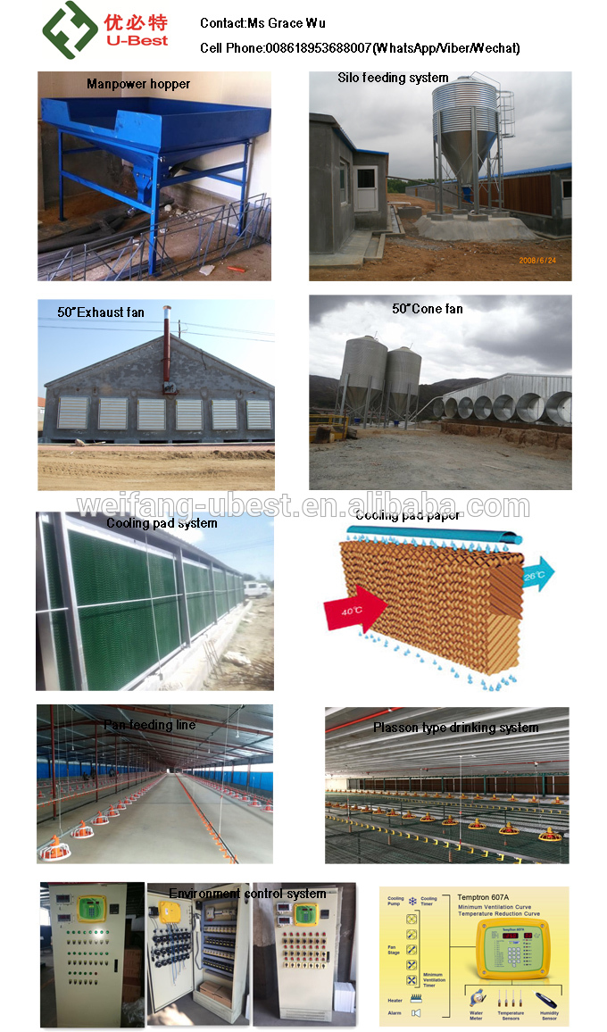 large scale steel structure design poultry equipment supplier in china automatic broiler feeding system poultry farm shed