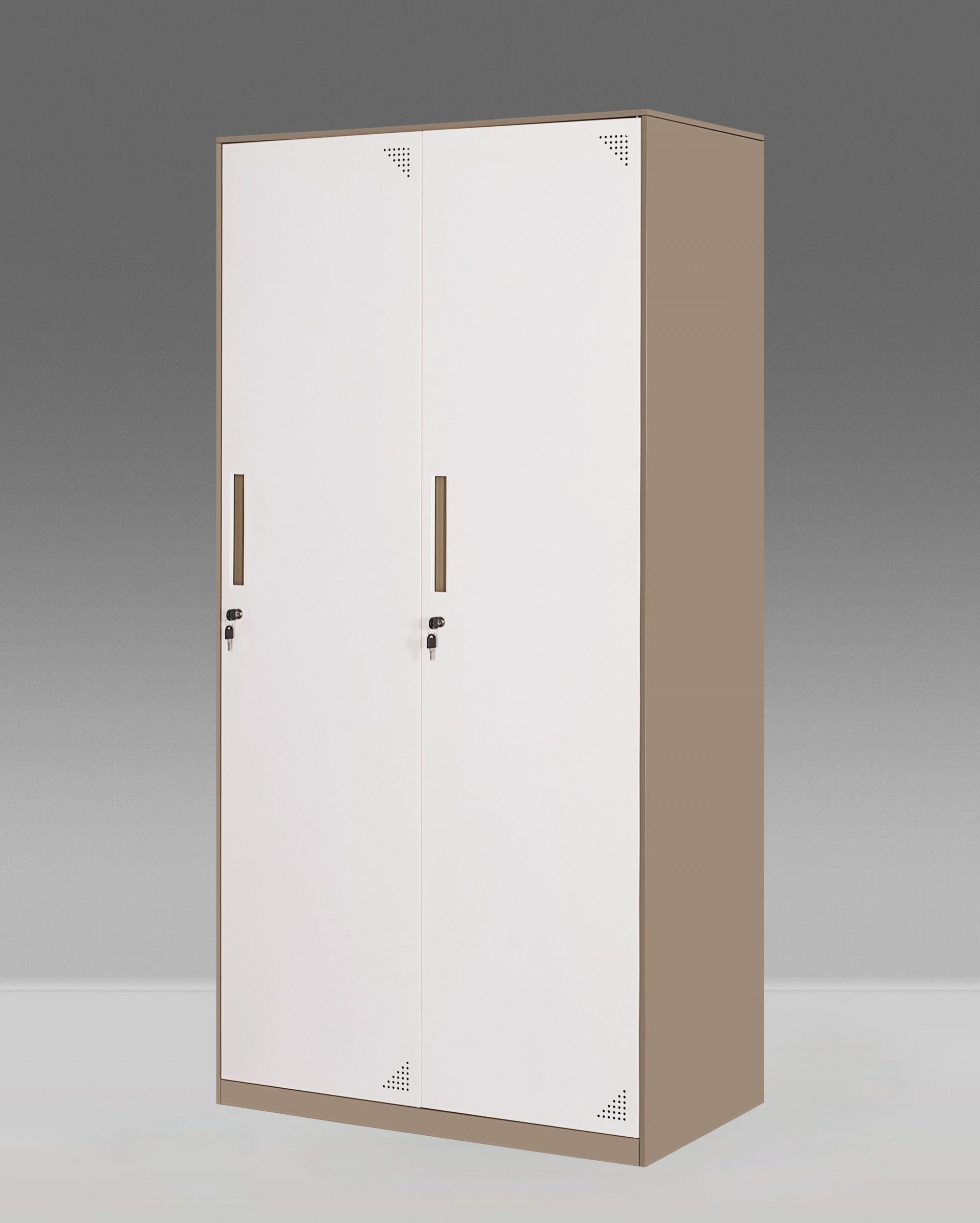 Wholesale Metal Cabinet Thin Edge Profile 2 Swing Doors Steel Cupboard for Clothes