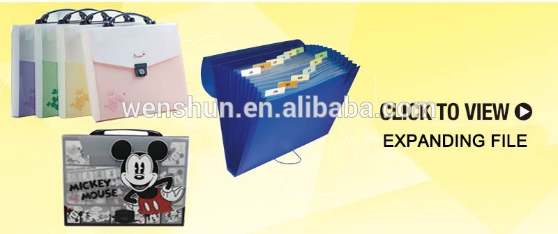 Manufacturer A4 Size Plastic PP Report L File Folder