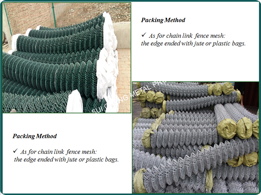 Chain Link Mesh/PVC Coated Chain Link Fence /Chain Link Fence Mesh (Guangzhou Factory)