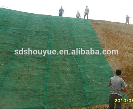 Shandong Datgeng Slope Mat /dust control mat/erosion control mat for earthwork