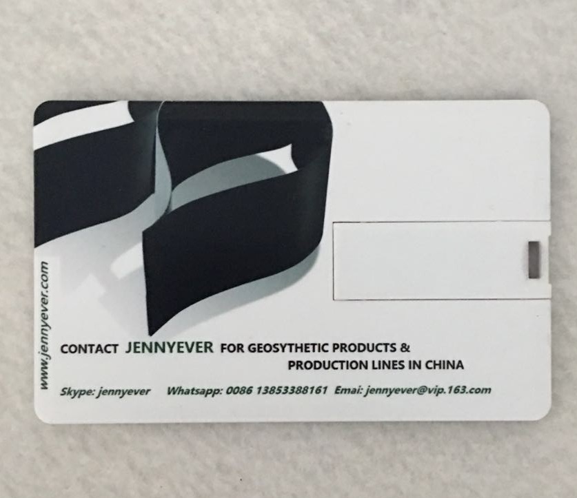 Promotion USB Card Logo Printing