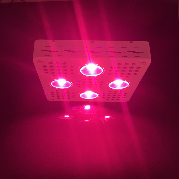 2018 new design smart wifi APP control full spectrum veg bloom 1000w led grow light