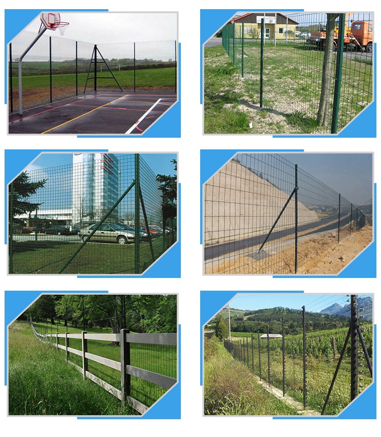 Galvanized wire mesh weled holland fence for prison