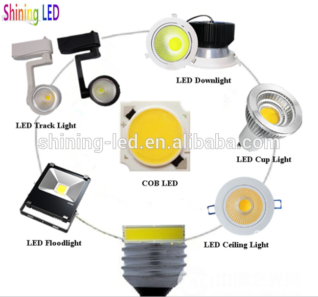 High Color Rendering Index CRI 90Ra Ceramic 10W COB LED