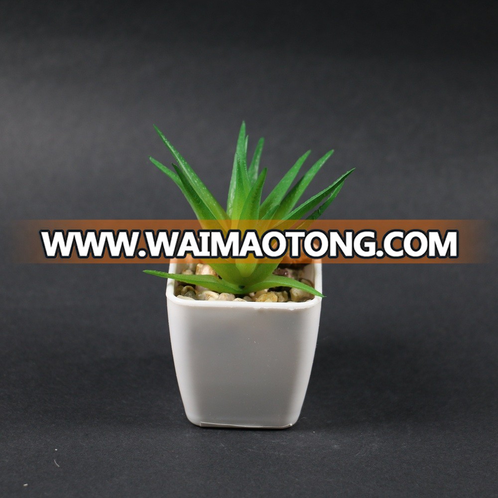 Mini potted Artificial succulent in plastic pot for home and office decoration