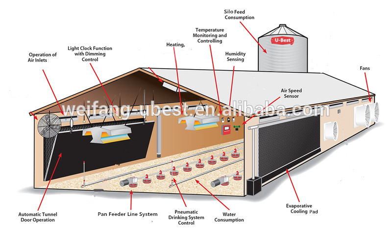 Low Price Modern Poultry Farm Controlled Chicken House Automatic Broiler Equipment