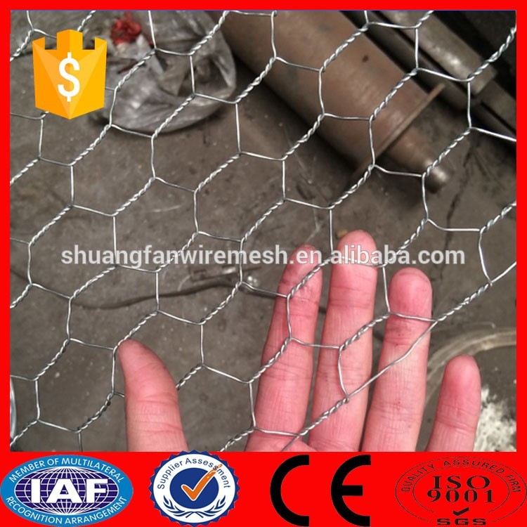 lobster trap / crab / fish trap pvc coated hot dipped galvanized hexagonal wire mesh