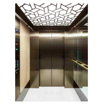 CNSP-018 top 10 Elevator Parts, elevator Safety Gear